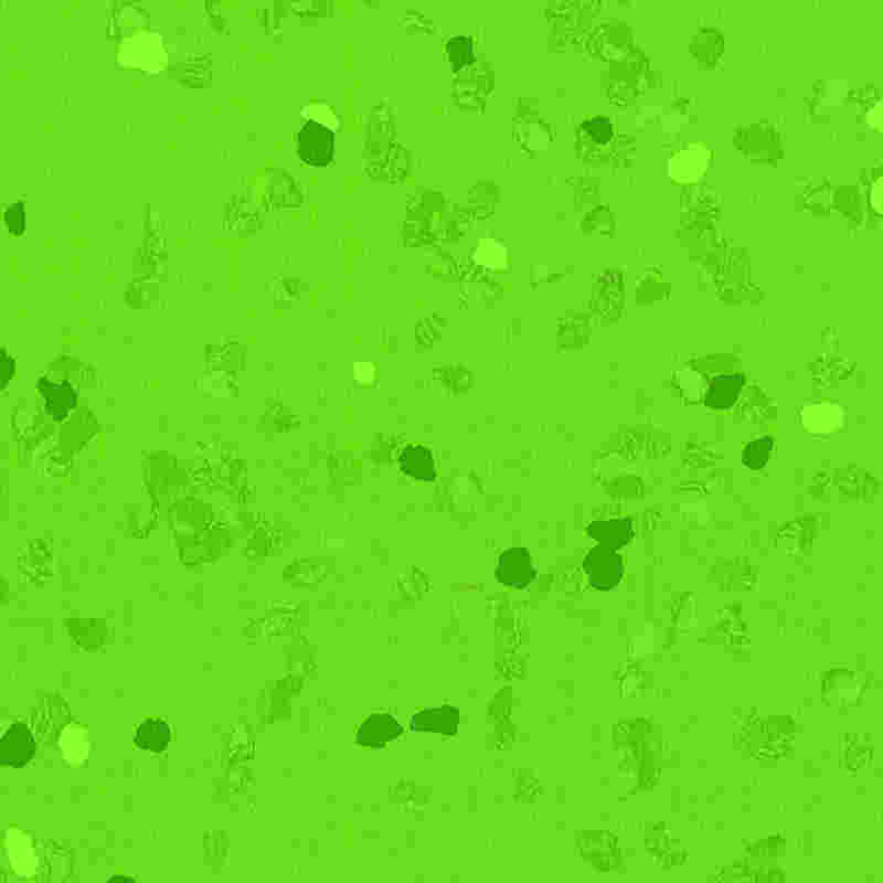 Naarmuuntumaton ja erittäin joustava kumilattia