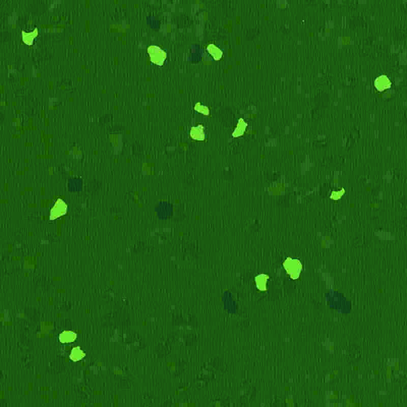 Naarmuuntumaton ja erittäin joustava kumilattia