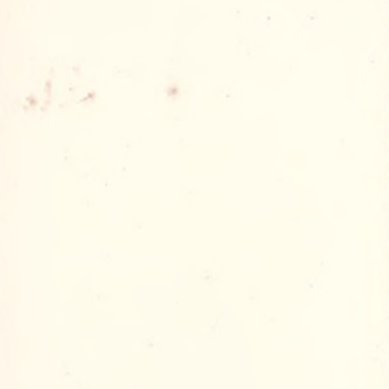 Korkea sopeutumiskyky ja saumaton kumilattia